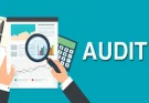 Ranking Professional Auditors: Criteria for Excellence and Reliability
